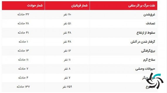 مرگ برای ثبت سلفی | اخبار | شبکه شرکت آراپل