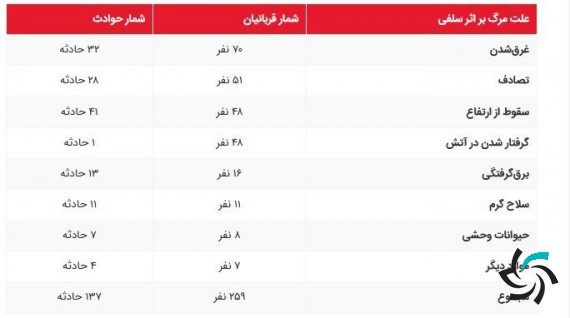  مرگ برای ثبت سلفی | اخبار شبکه | شبکه کامپیوتری | شرکت شبکه