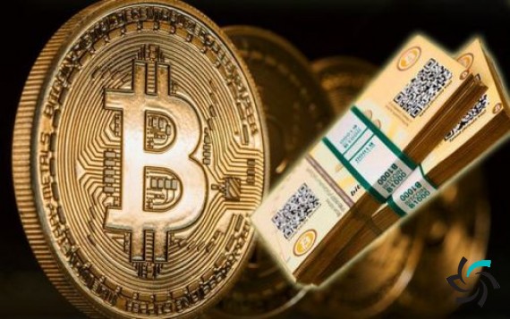 بیت کوین سرمایهگذاری نیست! | مطالب آموزشی | شبکه شرکت آراپل