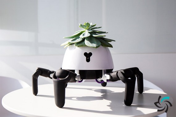 رباتی که به گیاهان کمک می کند | اخبار شبکه | شبکه کامپیوتری | شرکت شبکه