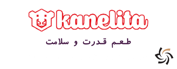 Kanelita Group | شبکه | سانترال | دوربین مداربسته